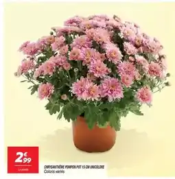 Netto Chirys antivene offre