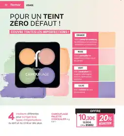 Stanhome Camouflage palette concealer offre