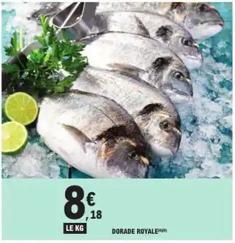 E.Leclerc DORADE ROYALE offre