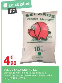 Rural Master Sel de salaison offre