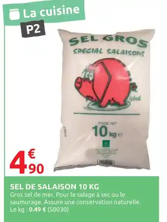Sel de salaison