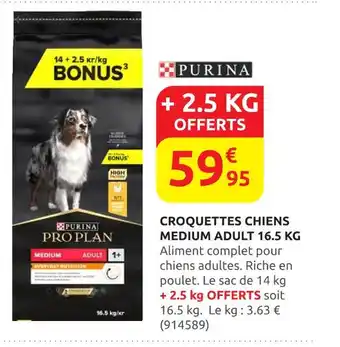 Rural Master PURINA Croquettes chiens medium adult 16.5 kg offre