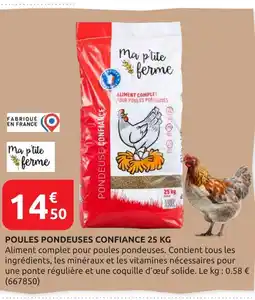 Rural Master Poules pondeuses confiance 25 kg offre