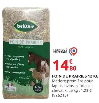 Rural Master BELAVIE Foin de prairies 12 kg offre
