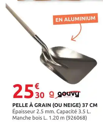 Rural Master Pelle à grain (ou neige) 37 cm offre