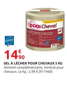 Rural Master SODI CHEVAL Sel à lécher pour chevaux 5 kg offre