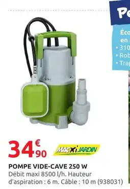 Rural Master MAXI JARDIN Pompe vide-cave 250 W offre