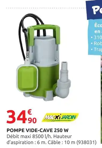 Rural Master MAXI JARDIN Pompe vide-cave 250 W offre