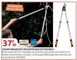 Rural Master Bahco Coupe-branches télescopique extensible offre