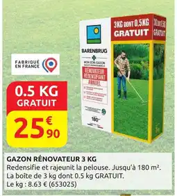 Rural Master BARENBRUG Gazon rénovateur 3 kg offre