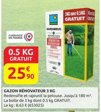 Rural Master BARENBRUG Gazon rénovateur 3 kg offre