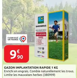 Rural Master Barenbrug Gazon Implantation Rapide offre