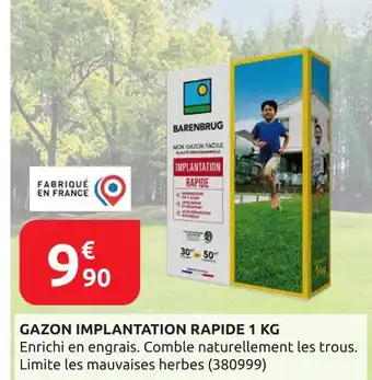 Rural Master Barenbrug Gazon Implantation Rapide offre