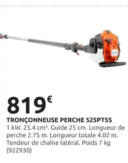 Rural Master Tronçonneuse Perche 525PT5S offre