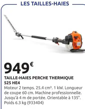 Rural Master Taille-haies perche thermique 525 HE4 offre