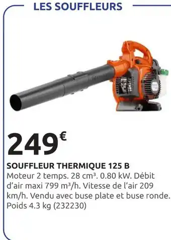 Rural Master Souffleur Thermique 125 B offre