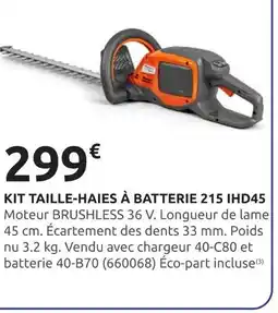 Rural Master Kit taille-haies à batterie 215 IHD45 offre