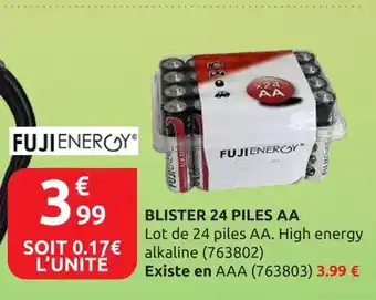 Rural Master Blister 24 piles AA offre