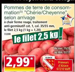 Norma Pommes de terre de consommation 'Chérie/Cheyenne' selon arrivage offre