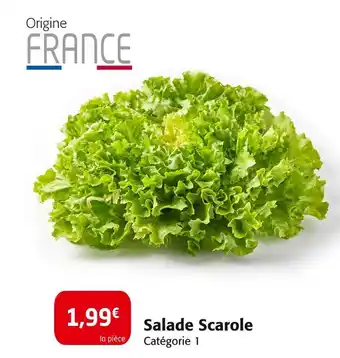 Colruyt Salade Scarole offre