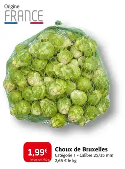 Colruyt Choux de Bruxelles offre
