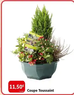 Colruyt Coupe Toussaint offre