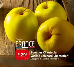 Colruyt Pommes Chantecler variété Belchard Chantecler offre