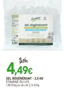 naturéO Etamine du Lys Sel régénérant offre