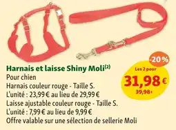 Maxi Zoo Shiny Moli Harnais et laisse offre