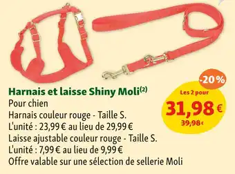 Maxi Zoo Shiny Moli Harnais et laisse offre