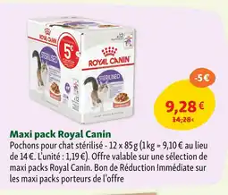 Maxi Zoo Royal Canin Maxi pack Sterilised offre