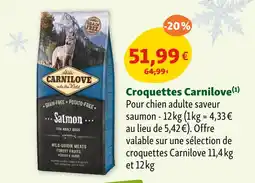 Maxi Zoo Carnilove Croquettes offre