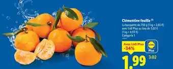 Lidl Clémentine feuille offre