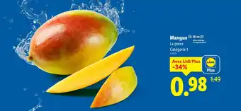 Lidl Mangue offre