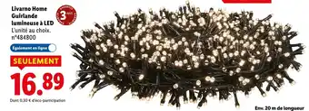 Lidl Livarno Home Guirlande lumineuse à LED offre