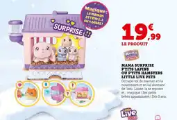Super U Little Live Pets Mama Surprise P'tits Lapins ou P'tits Hamsters offre