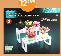 b&m BRIQUE PAR BRIQUE Bloc Succulentes Fleur Affichage offre