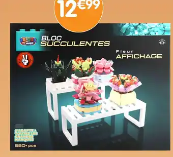 b&m BRIQUE PAR BRIQUE Bloc Succulentes Fleur Affichage offre