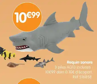 b&m Requin sonore offre