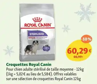 Maxi Zoo Royal canin - croquettes offre