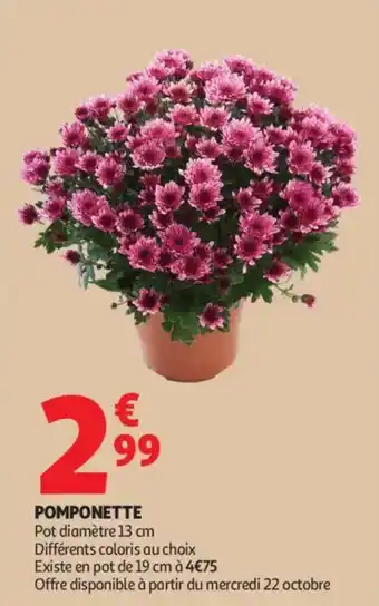 Pomponette