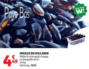 Moules de hollande