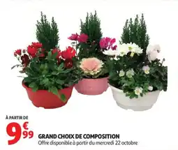 Auchan Grand choix de composition offre