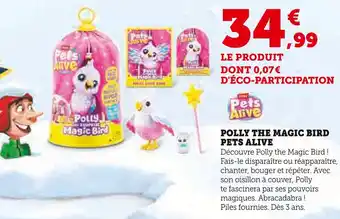 Super U PETS ALIVE Polly the magic bird offre