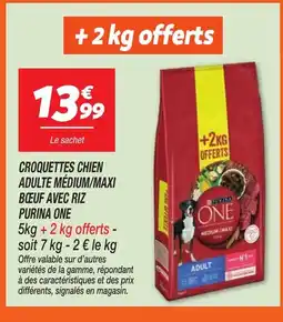 Netto PURINA ONE Croquettes chien adulte médium/maxi bœuf avec riz offre