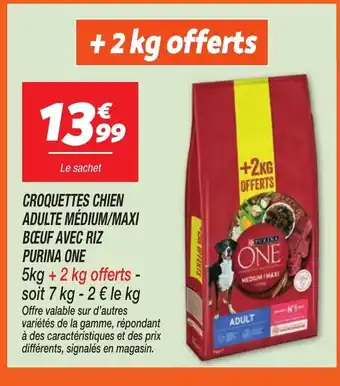 Netto PURINA ONE Croquettes chien adulte médium/maxi bœuf avec riz offre