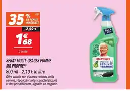 Netto MR PROPRE Spray multi-usages pomme offre