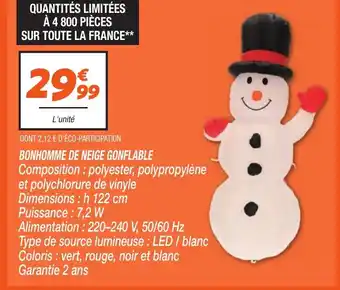 Netto Bonhomme de neige gonflable offre