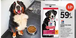 E.Leclerc Jardi HILL'S Croquettes chien adulte offre