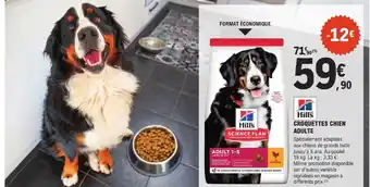 HILL'S Croquettes chien adulte